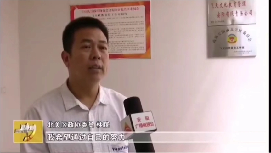 中大视界文化传媒产业（北京）有限公司董事会主席、央大视界网总编、政协常委林膑接受记者采访