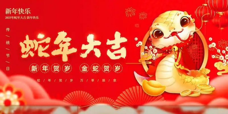 中大视界文化传媒产业有限公司董事会主席林膑新年致辞